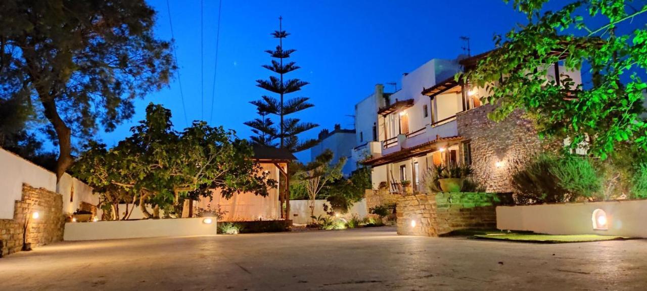 Naxos Chora Villa "Vaporias" With Amazing Garden Naxos City Zewnętrze zdjęcie