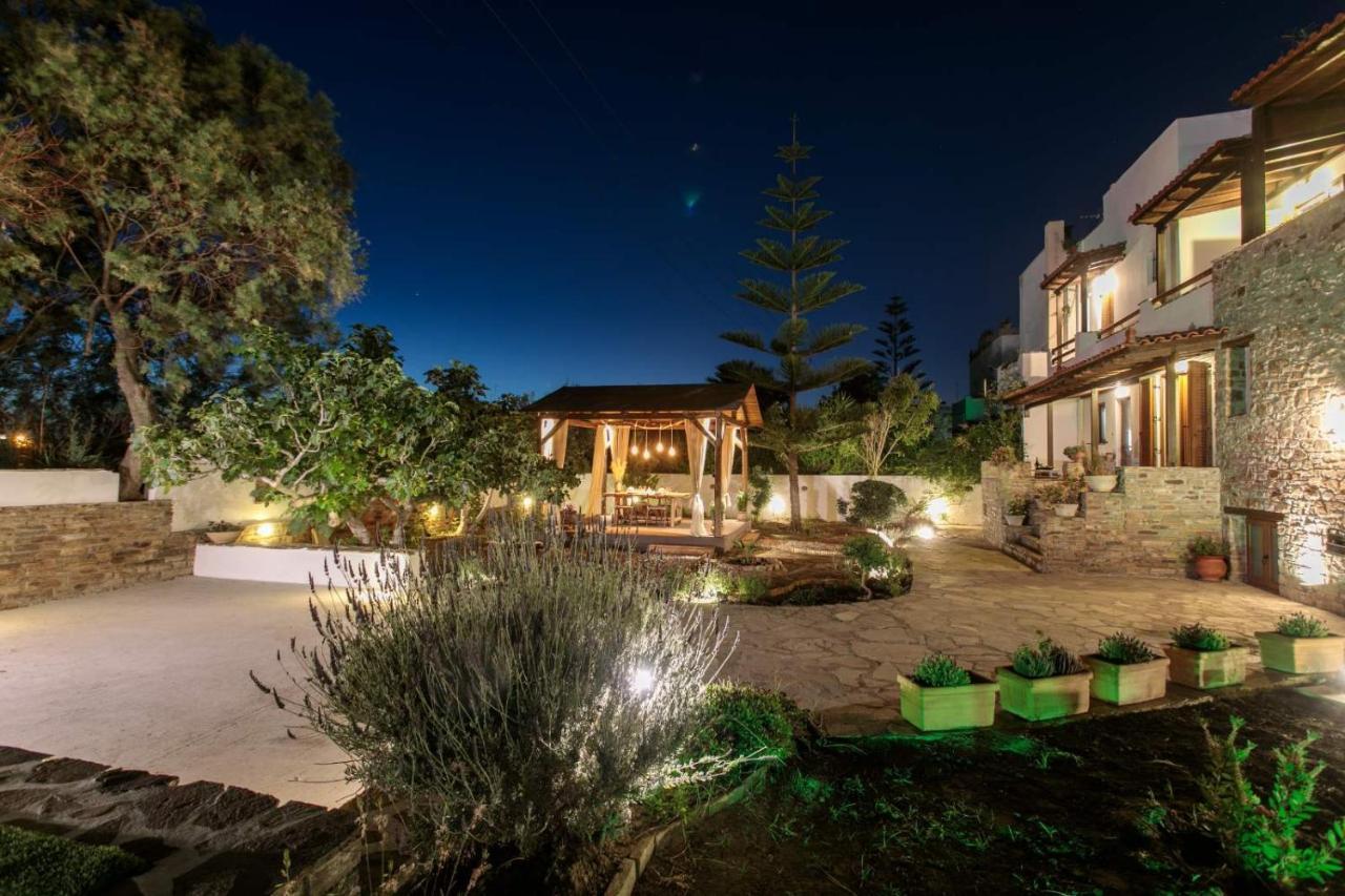 Naxos Chora Villa "Vaporias" With Amazing Garden Naxos City Zewnętrze zdjęcie