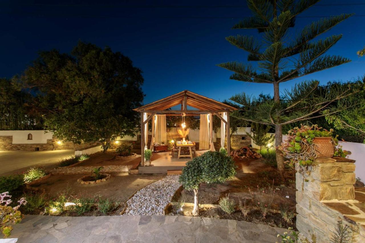 Naxos Chora Villa "Vaporias" With Amazing Garden Naxos City Zewnętrze zdjęcie