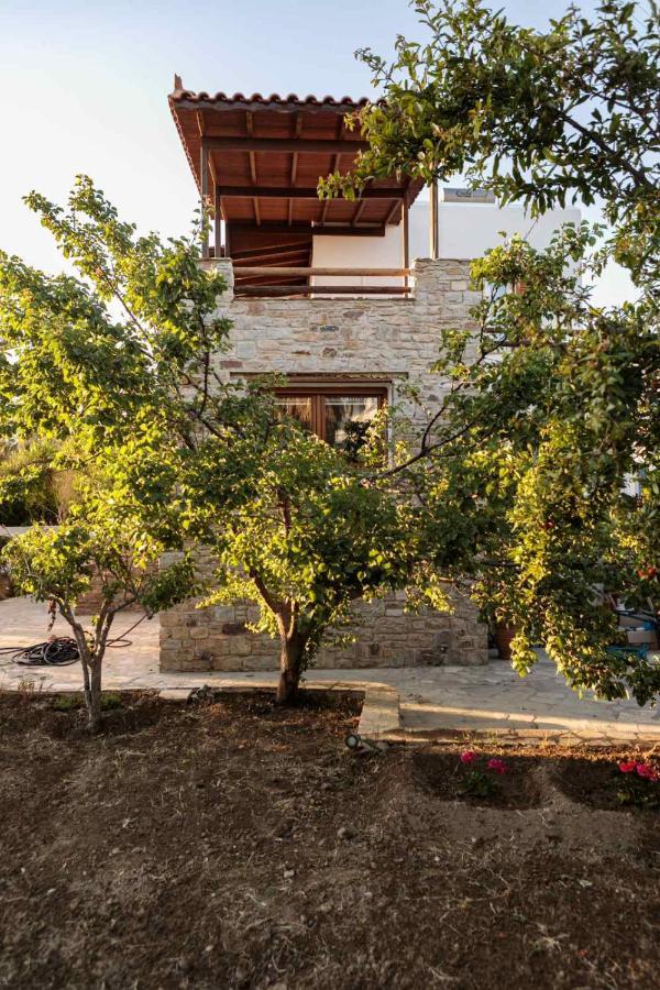 Naxos Chora Villa "Vaporias" With Amazing Garden Naxos City Zewnętrze zdjęcie